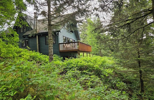 Kodiak Cabin | Cozy Island Lake Cabin in Kodiak