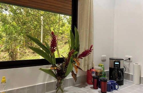 Parrita Cabin | Cozy jungle cabin with WiFi and AC in beautiful Parrita