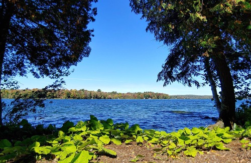 Dexter House | Cozy lakefront home w/ a firepit, outdoor shower, & private beach!