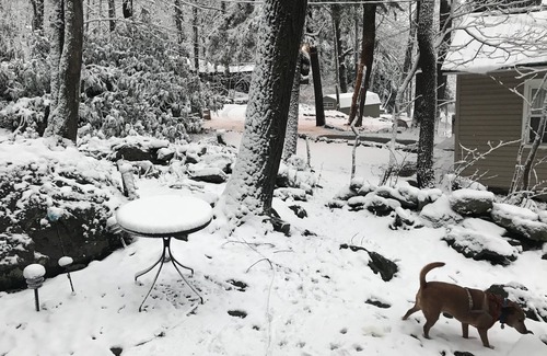 Jefferson Township Cabin | Cozy Laurel Highlands Cabin Minutes to Ski Resorts, Fishing, Hiking, etc.