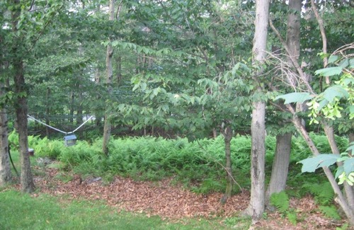 Gouldsboro Cabin | Cozy Log Cabin in Family Friendly Community