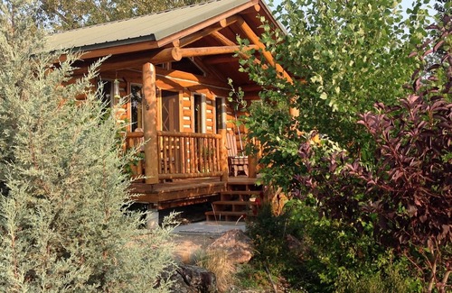 Salmon Cabin | Cozy log cabin set along Jesse creek within walking distance to downtown Salmon