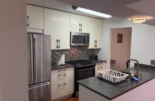 Greater South River City Apartment | Cozy Lux 1bd apt - Austin