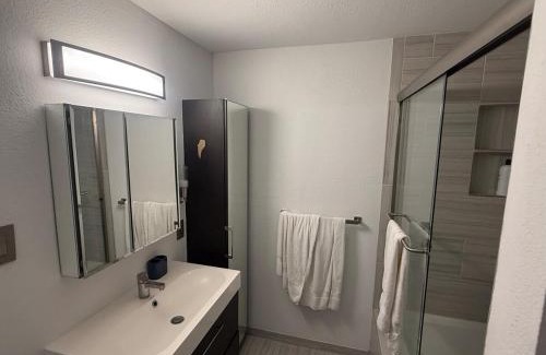 Greater South River City Apartment | Cozy Lux 1bd apt - Austin