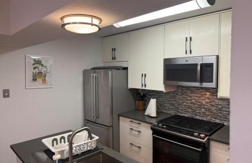 Greater South River City Apartment | Cozy Lux 1bd apt - Austin