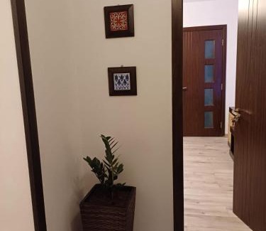 Craiova Apartment | Cozy Place