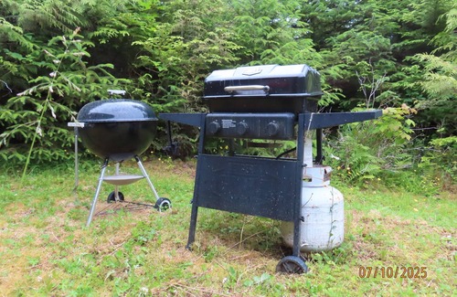 Coffman Cove Cabin | Cozy & Quiet Cabin 2 minutes from Coffman Cove Harbor - 16' Skiff & Van avail.