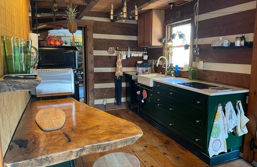 Linden Cabin | Cozy Shenandoah Cabin Mountian Escape w/ Private Hottub, Loft, & Fireplace
