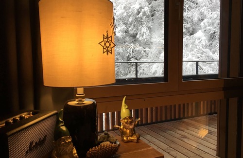 Flims Apartment | Cozy Ski in/out hideaway next to the slopes and cablecar