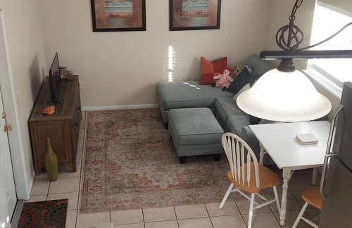 Lake George House | Cozy Stable Apartment - Bring your horse !
