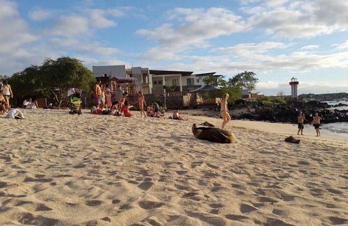 Puerto Baquerizo Moreno Apartment | COZY SUITE "4 CORNERS" - GALAPAGOS