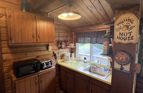Turin Cabin | Cozy Tug Hill 4-bedroom cabin located directly on the trails in Turin NY
