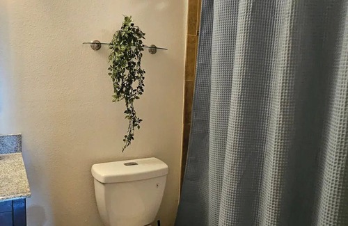 Valrico Apartment | Cozy Two Bedrooms Apartment in Valrico