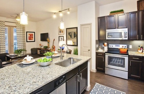 Spring Apartment | Cozy Woodlands Lakeside Luxury Apartment!