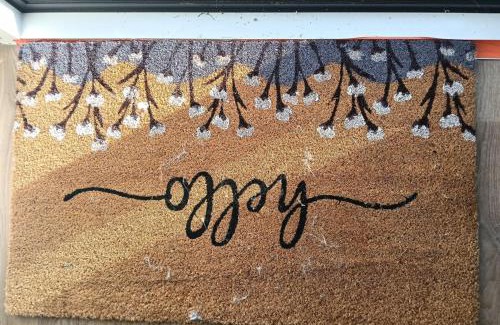 Hamilton Apartment | crash pad but homely