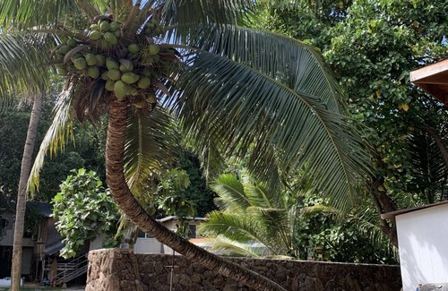 Laie House | Create one of the most unique experiences on the beautiful Lā’ie country side.