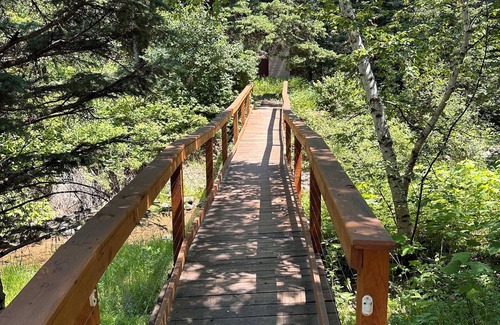 Deadwood Cabin | Creekside Cabin - Minutes from Deadwood/Lead/Spearfish!