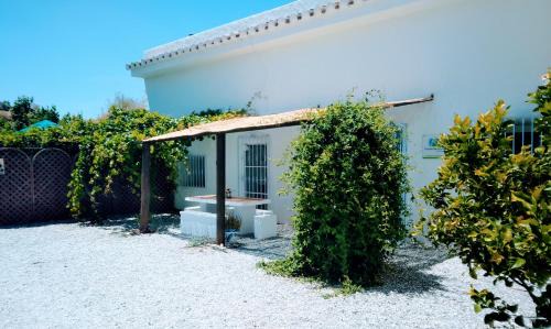 Freila House | Cueva Alfano