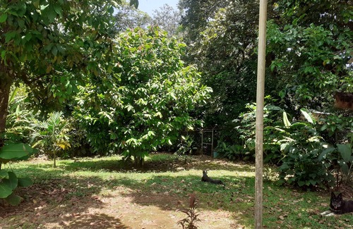 Dolega Apartment | Cute 1-Bdrm Apt in Dolega Centro. Great Central Location w/a Lovely Stream.