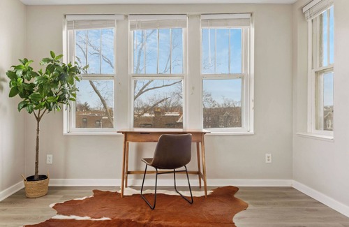 University City Apartment | Cute Apt Near Loop - WashU - BJC