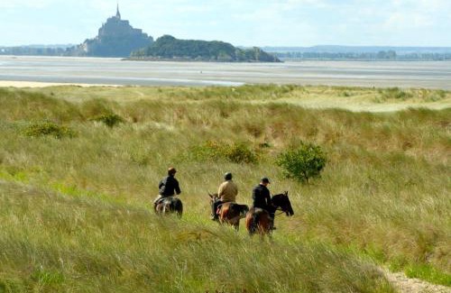 Hambye Bed & Breakfast | Découverte d'un Haras proche du Mont St Michel