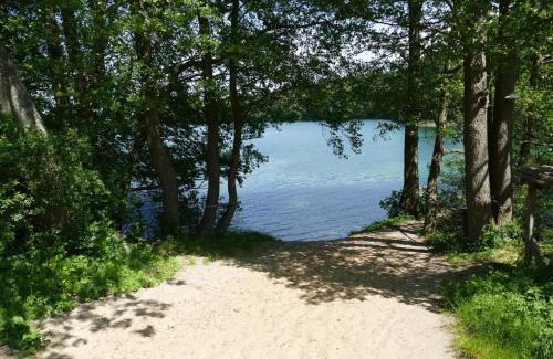 Feldberger Seenlandschaft Apartment | Dachstudios Alte Mühle