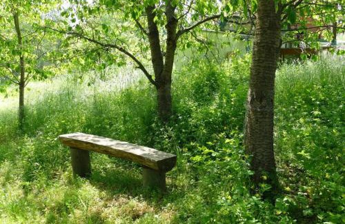 Feldberger Seenlandschaft Apartment | Dachstudios Alte Mühle