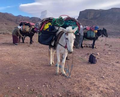 Ait Sedrate Jbel El Soufla Other | Dades mountain camp