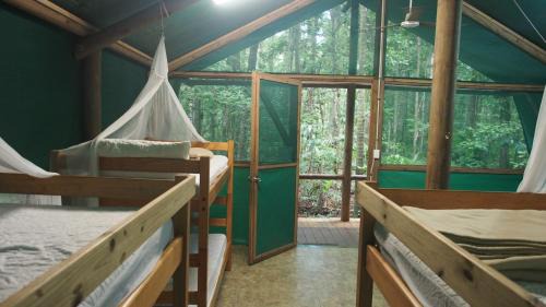 Cow Bay Cabin | Daintree Crocodylus