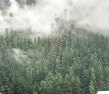 Kasol House | Daksh Guesthouse