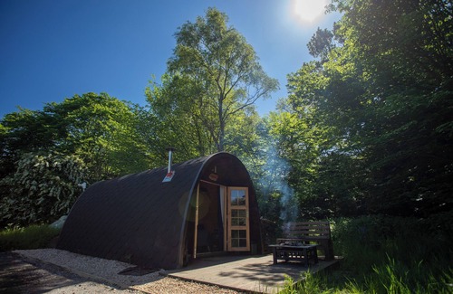 Dunfermline Cabin | Dalwhinnie, Off-Grid Cabin in Woods: Dalwhinnie. Pet Friendly!