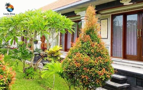 Pejeng Kawan House | Dana guest house