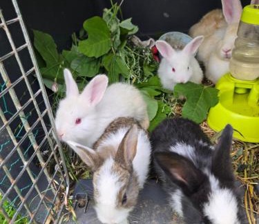 Boryeong House | Daori Pension