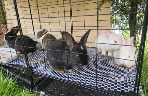 Boryeong House | Daori Pension