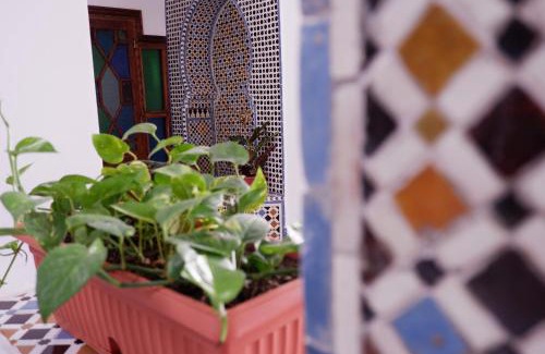 Mellah Bed & Breakfast | Dar Fama