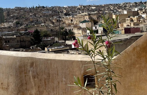 El Mokhifa House | DAR SEFFAH :Your house in the heart of the Fes' Medina