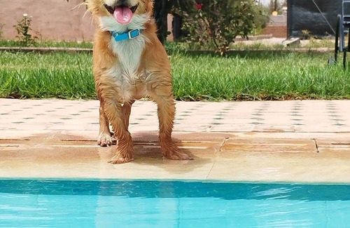 District of Sidi Youssef Ben Ali Villa | DAR SMAWAR top heated swimming pool 15mn city center