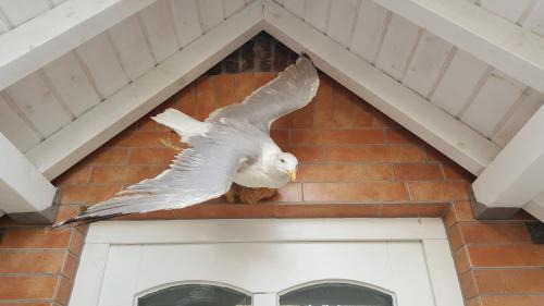 Bad Camberg House | Das Moevennest