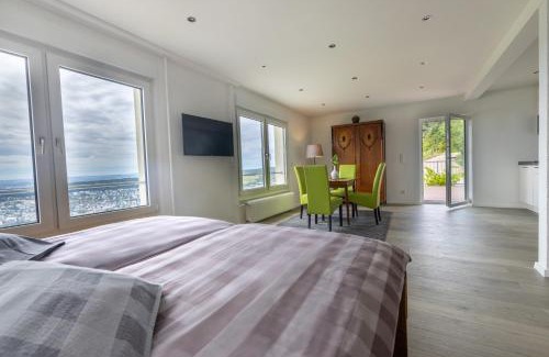Mainz-Bingen Apartment | das Rebenhaus