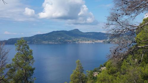 Zoagli Apartment | DAVANTI AL MARE, FRA PORTOFINO E LE 5 TERRE - IN FRONT Of THE SEA, BETWEEN PORTOFINO AND THE 5 TERRE