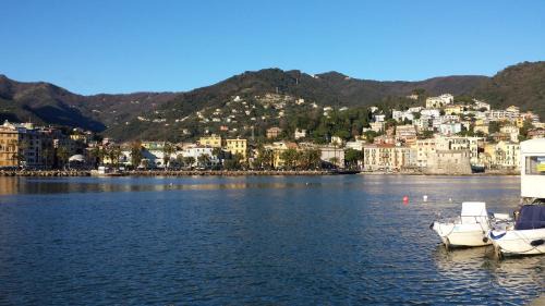 Zoagli Apartment | DAVANTI AL MARE, FRA PORTOFINO E LE 5 TERRE - IN FRONT Of THE SEA, BETWEEN PORTOFINO AND THE 5 TERRE