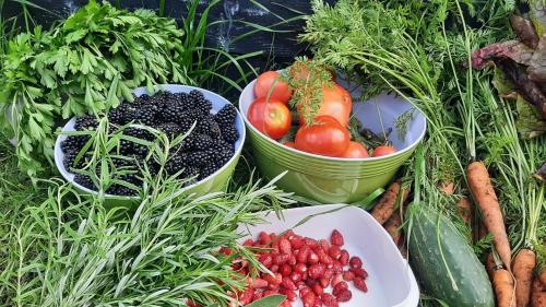 Lipowy Most House | Dawno Temu - Agroturystyka Premium
