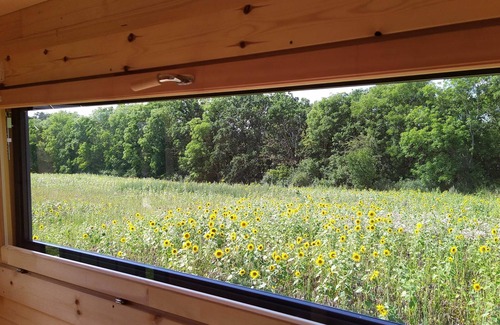 Gross Nemerow Cabin | Log Cabins Naturstammhaus Ostsee 14 - Feriendorf Tollensesee