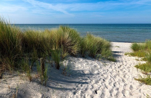 Am Schwarzen Busch Apartment | App. Strandmuschel - Only 20 m distance to the sea!