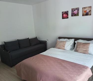 Rasnov Apartment | Deea H24