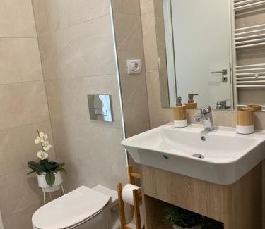 Rasnov Apartment | Deea H24