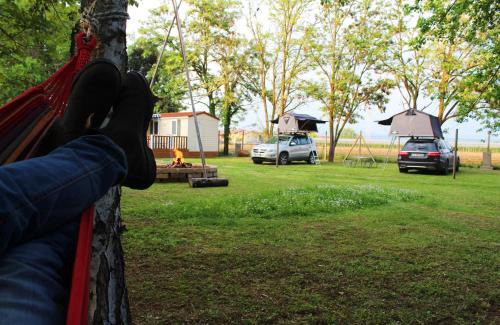 Bussolengo Other | Del Falco Agricampeggio - Solo Piazzole