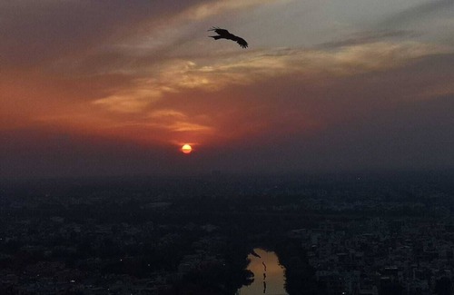 New Delhi Apartment | Delhi's Hemisphere View Condo