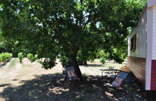 Mazan House | Delicious trailer fully equipped in a haven of peace - long swimming pool