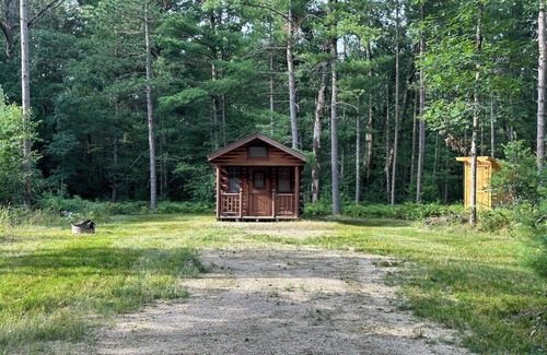 Big Rapids Cabin | Delightful cabin in Big Rapids for a cozy getaway